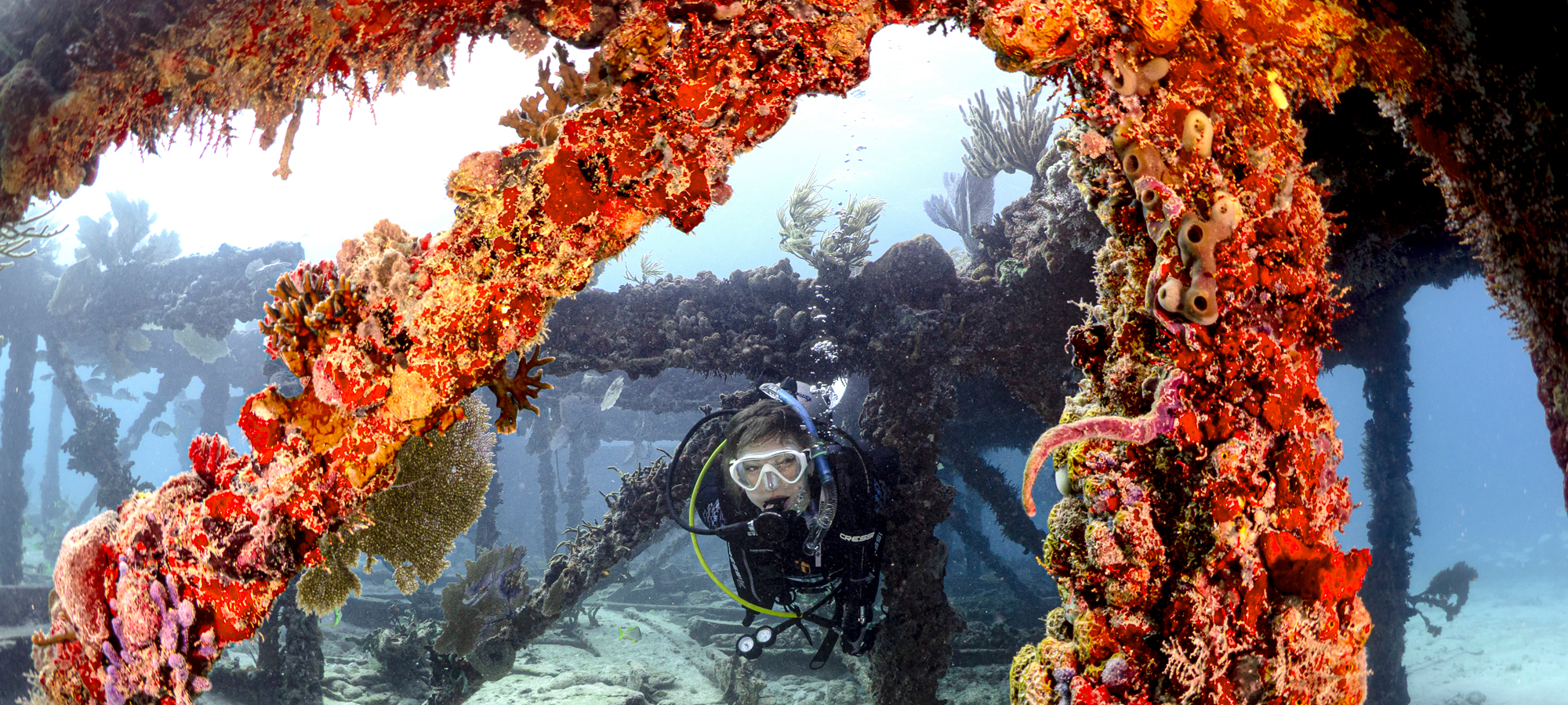 Scuba Diver at Flagler's Barge in Marathon